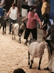 FullSizeRender_1 (2)