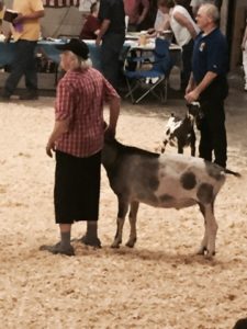 FullSizeRender_11 (2)