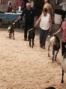 FullSizeRender_2 (2)