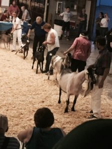 FullSizeRender_3 (2)