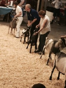 FullSizeRender_6 (2)