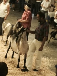 FullSizeRender_8 (2)