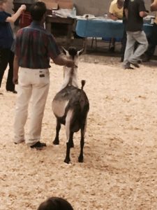 FullSizeRender_9 (2)